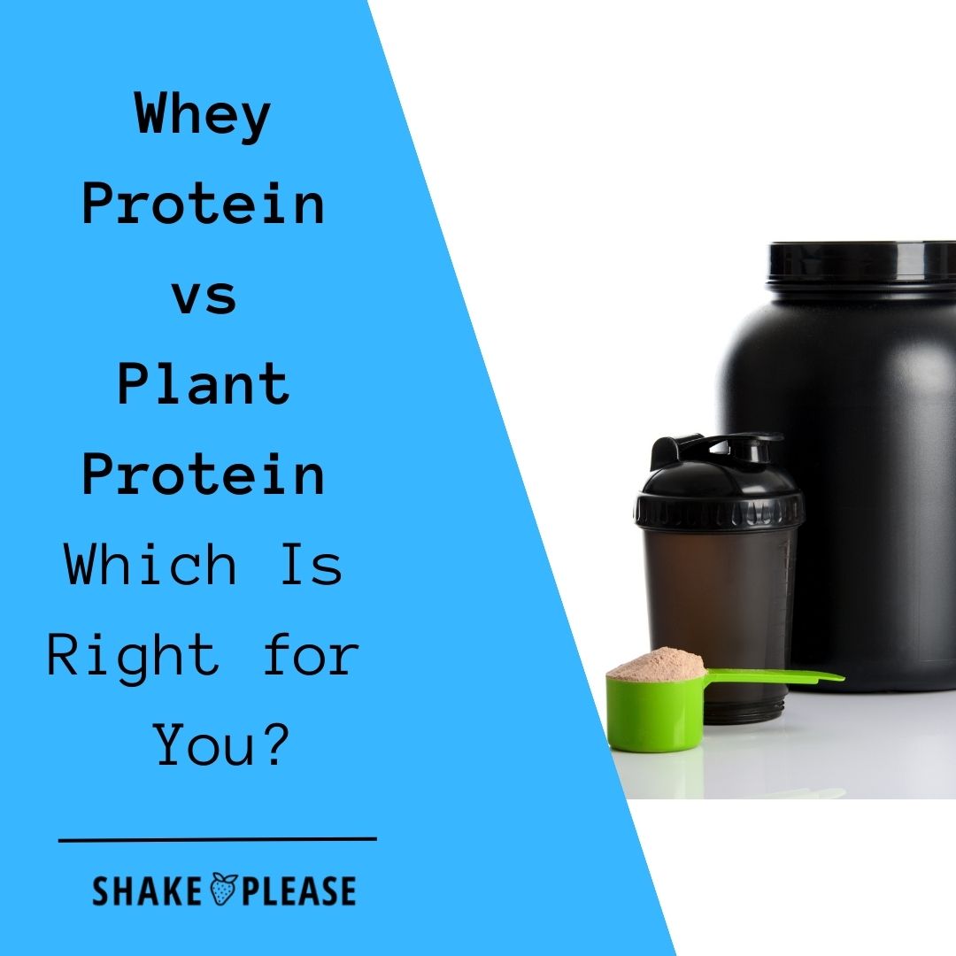 Whey Protein vs Plant Protein Which Is Right for You? Shake Please
