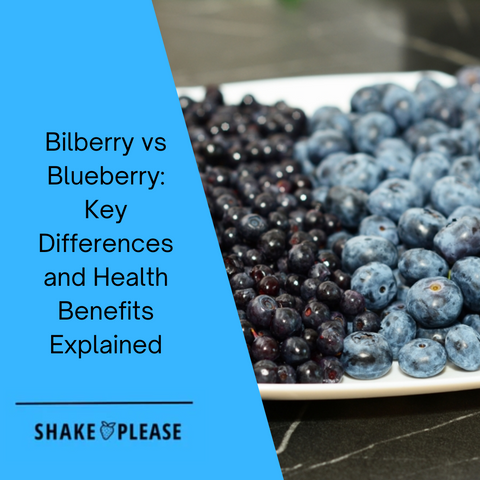 Bilberry vs Blueberry