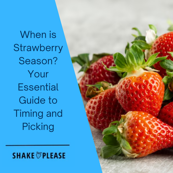 When is Strawberry Season? Your Essential Guide to Timing and Picking